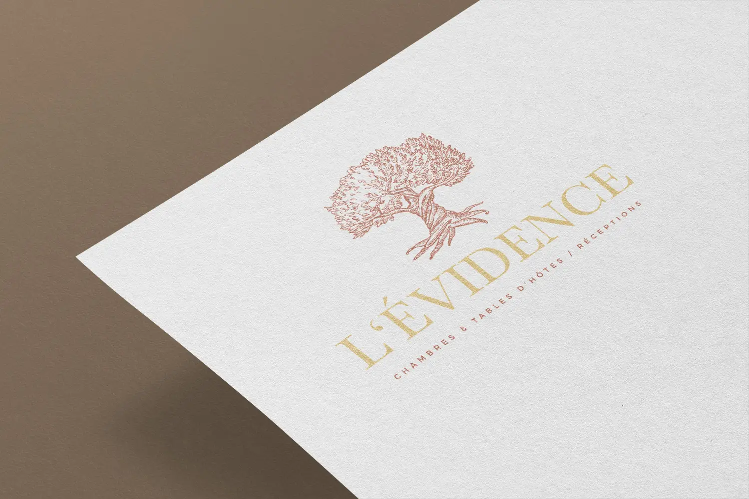 logo-levidence